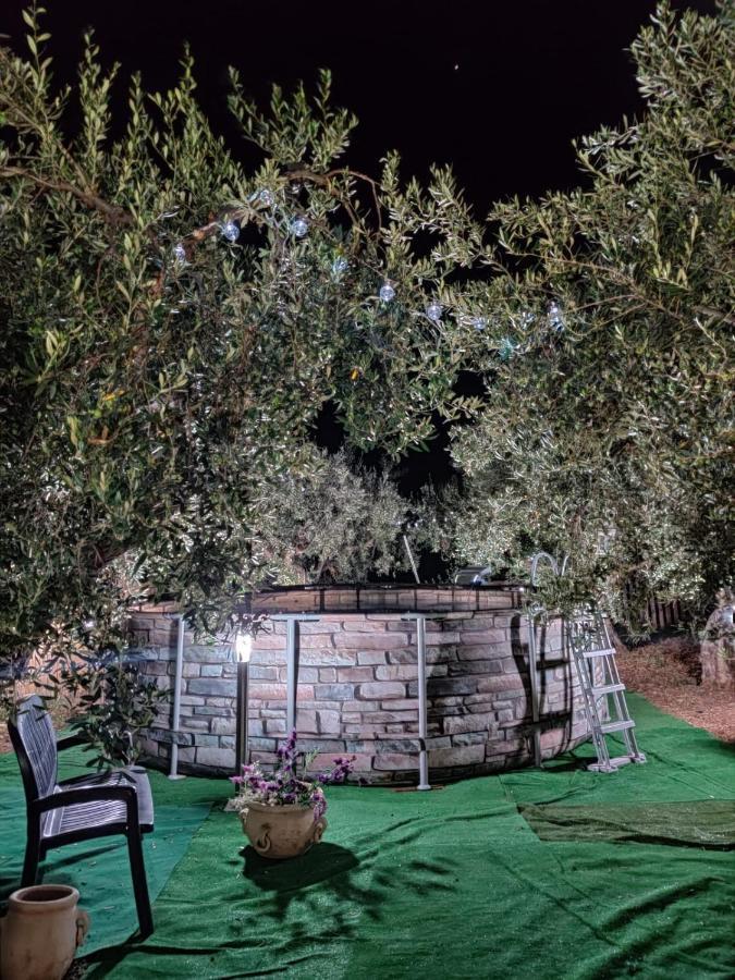 La Casetta Degli Ulivi Con Piscina Menfi Exteriör bild